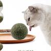 Kedi Nanesi Topu Lolipop Matatabi Çiğneme Çubuğu Kedi Oyuncağı