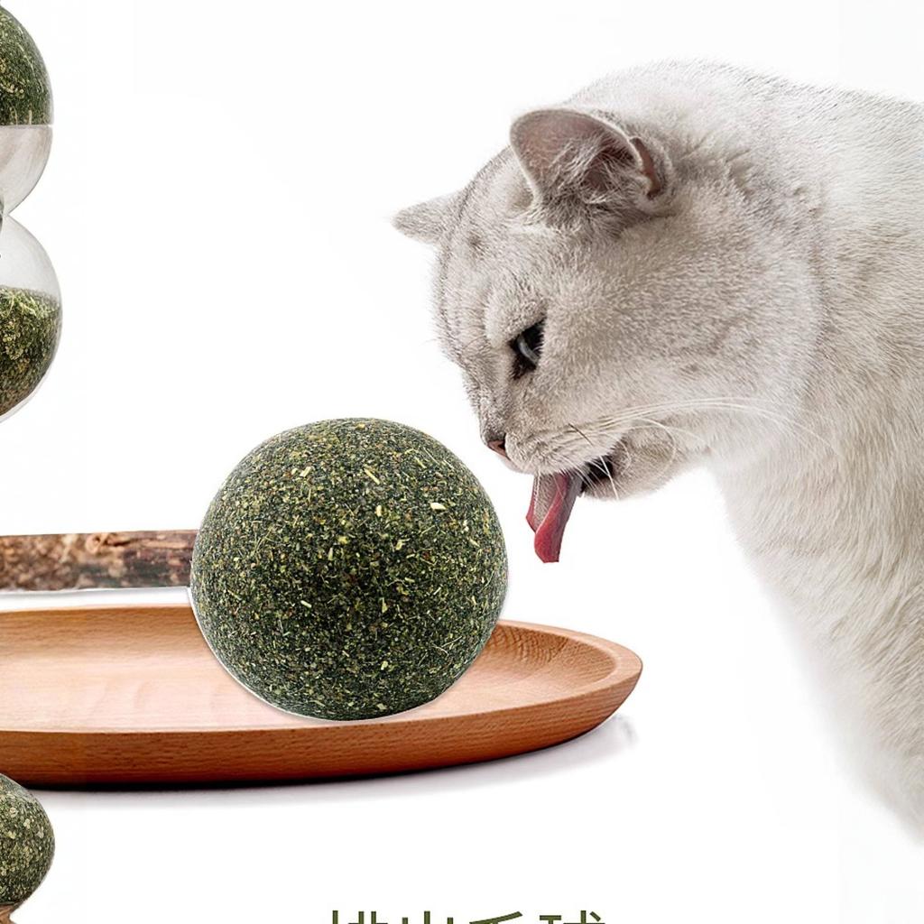 Kedi Nanesi Topu Lolipop Matatabi Çiğneme Çubuğu Kedi Oyuncağı