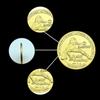 Scarlett, Famous Female Singer, Actress, Gold-plated Commemorative Coin, Star Commemorative Medal, Medal Collection Gift