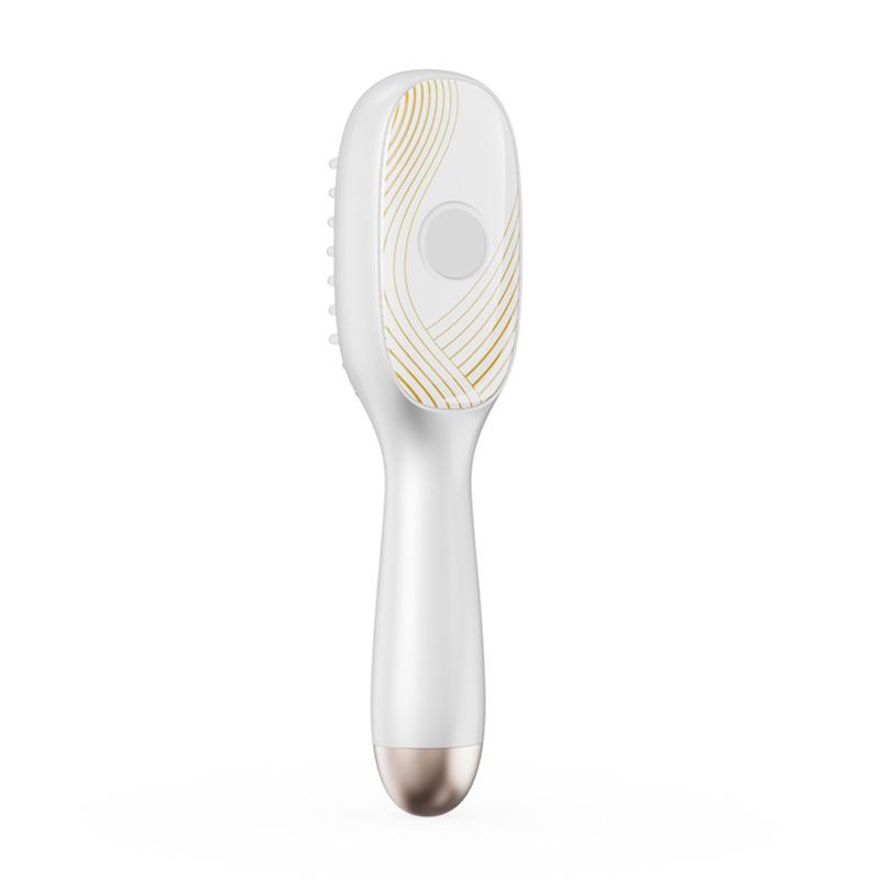 Electric Massage Comb Spray Comb EMS Head Acupoint Medicine Comb Red Blue Light Therapy Device Anti-Hair Loss Brush