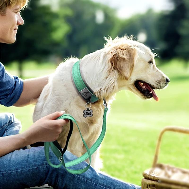 Padded Dog Collars for Small Medium Large Dogs Soft Reflective Wide Pet Collars Adjustable Heavy Duty Nylon Neoprene Dog Collar