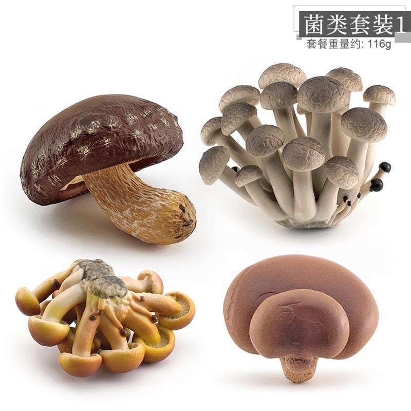 Realistisches Pilzset mit essbaren Shiitake-, Enoki-, Matsutake-Pilzen, giftigen Schirmpilzen, dekorativen Modellen, ideal für die Heimpräsentation