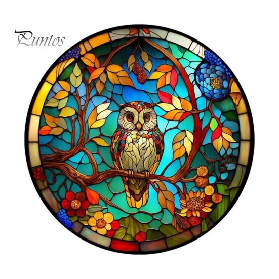 

5D Сова Птица Узор DIY Алмазный Набор Красочные Стразы Яркий Цвет Взрослых Детей Стразы Живопись Украшения Дома Стены D