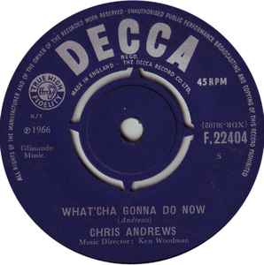 

7inch Record CHRIS ANDREWS Whatcha Gonna Do Now F22404 Decca 1966 UK Pop Used