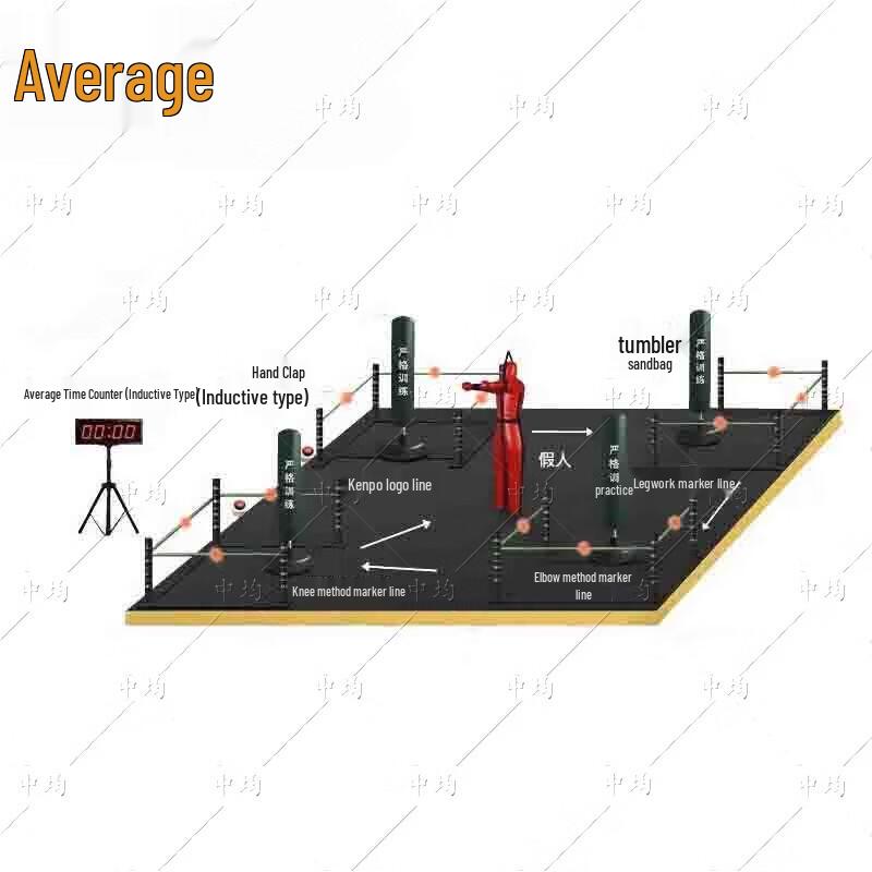 Martial Arts Training & Assessment System