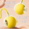 Smart Interactive Pet Ball Toy For Cats And Dogs