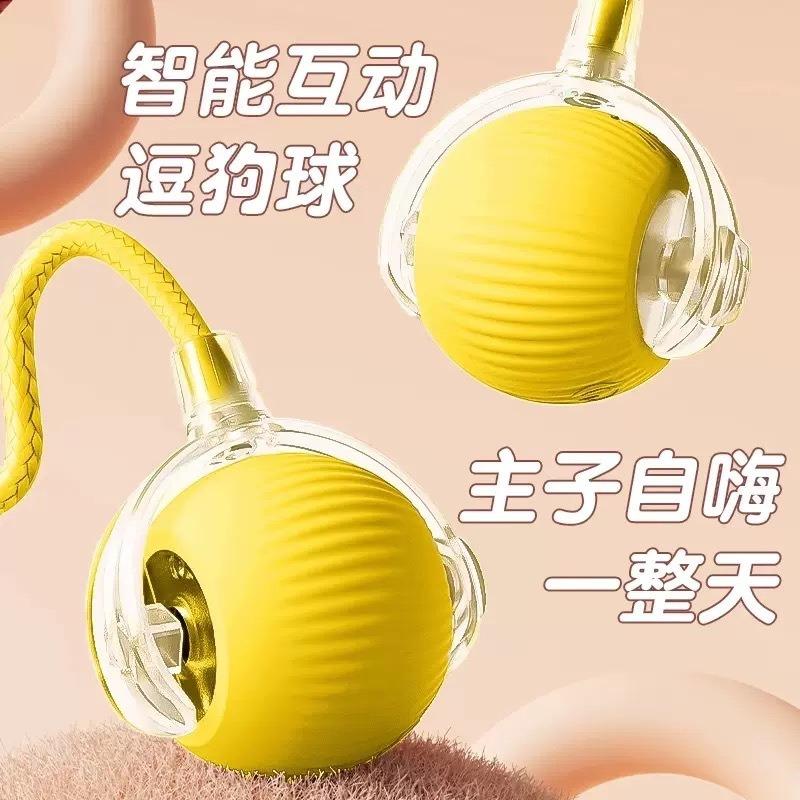 Smart Interactive Pet Ball Toy For Cats And Dogs