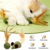 Cat Mint Toy Catnip Feather Ball Toy for Cats Teeth Cleaning Hairball Control Fresh Breath Chew Toy Interactive Play Chewing Toy