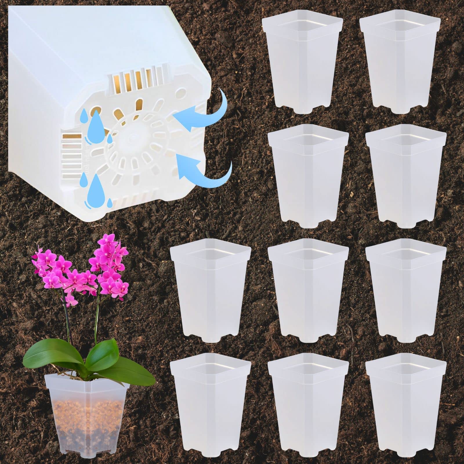 

Leap Raupe Прозрачный Цветок Прозрачный Разрез Пластик Агава 10 Штук 7 x Ширина 7 x Высота Горшки, Горшки, Горшки, Горшки, Горшки, Длинный, Нет. 2.5, (Длина 10см)