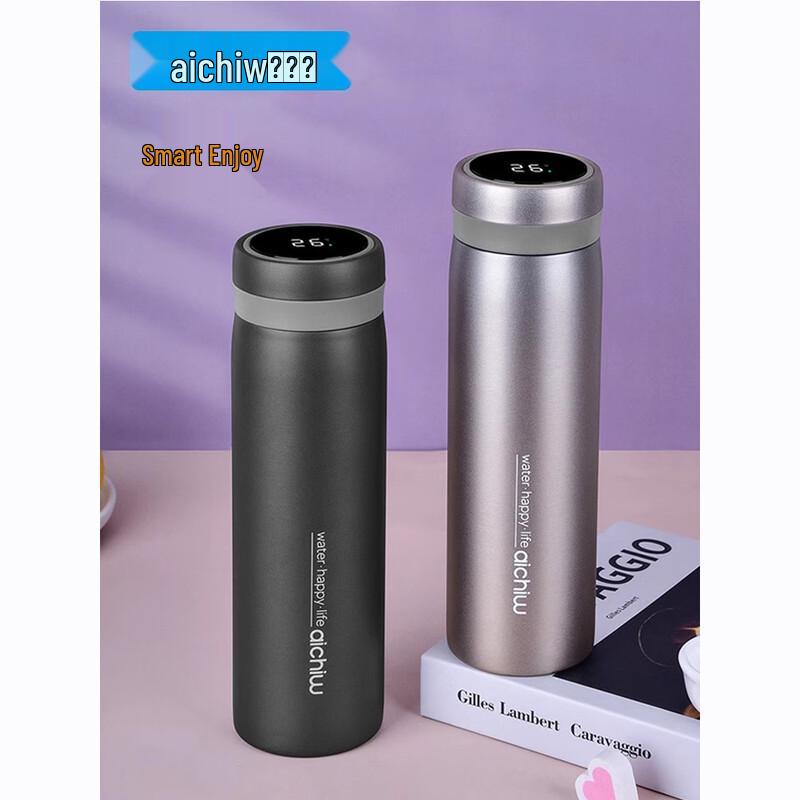 Aiqiwu AI-D151 Smart Insulated Bottle