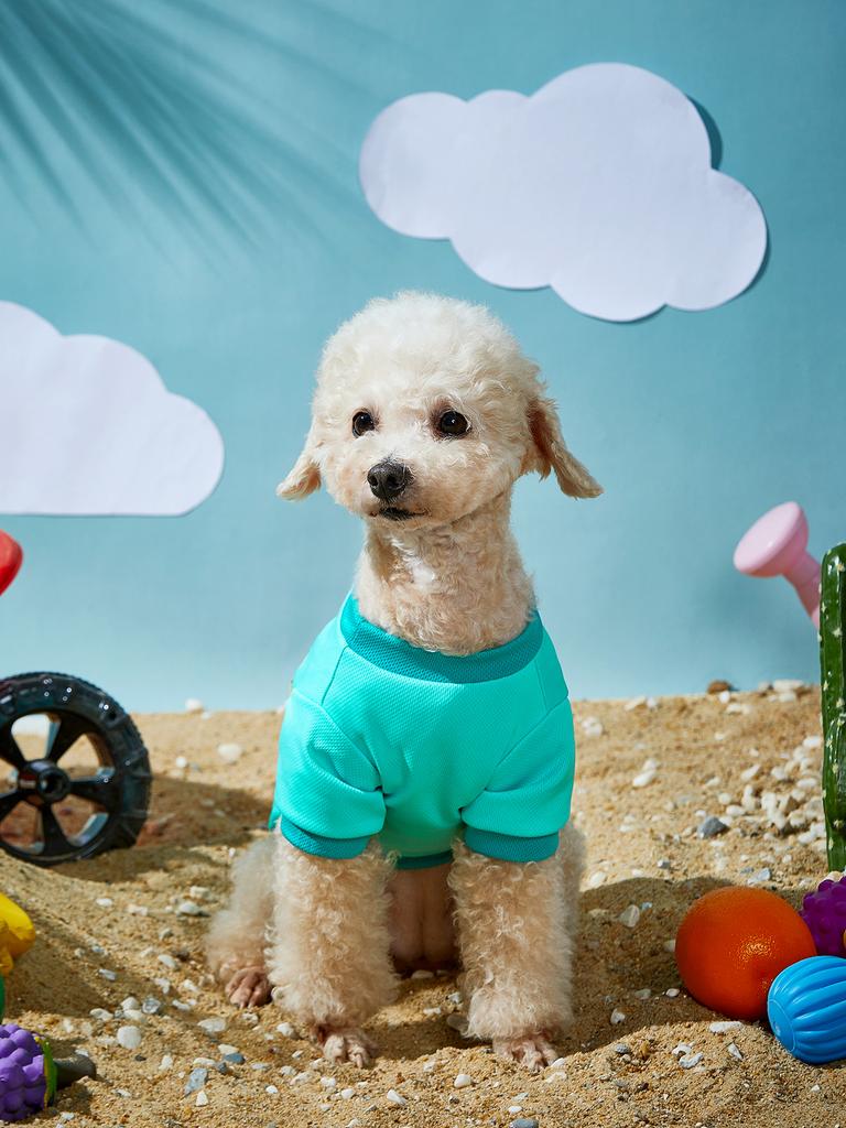 Dog Clothes Puppy Floral Sweatshirts for Small Medium Dog, Cat, Soft and Comfort Seaside Shirts Dog Pajamas Outfit Pet