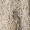 DOD Women'S Urban Through Knit Cardigan (Melange Grey)