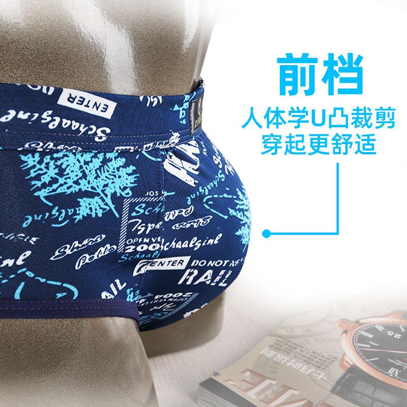 Ice Silk Men's Triangle Underwear Summer Breathable Summer Sexy Mid Waist Print Underwear