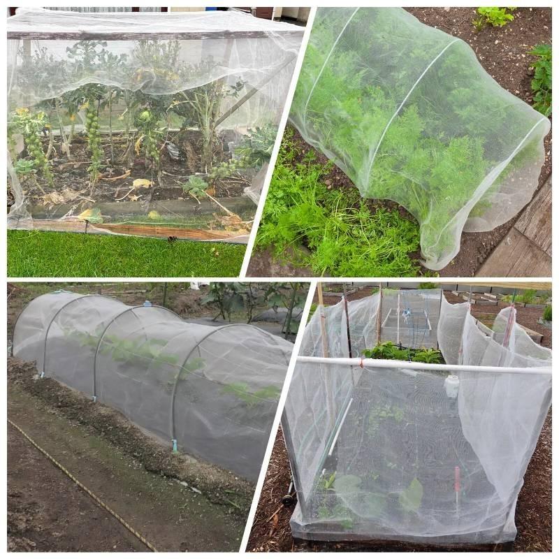 Garden Mesh Fine Protect Netting Vegetable Crop Plant Bird Insect Net Protection