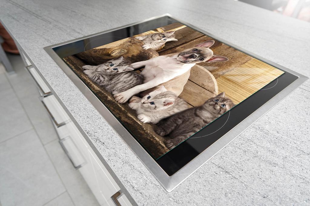 GLASSCHNEIDEBRETT 52x40 HUND