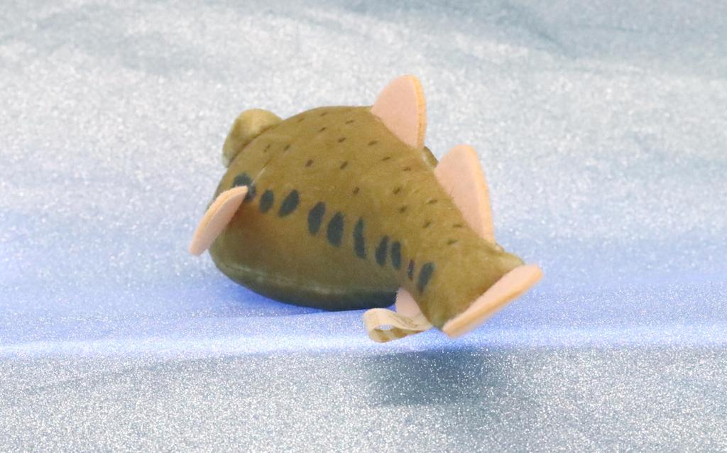 Take Off Pish - A Small, Colorful Fish Plush Toy That Makes a "beep" Sound When You Press Its Belly.