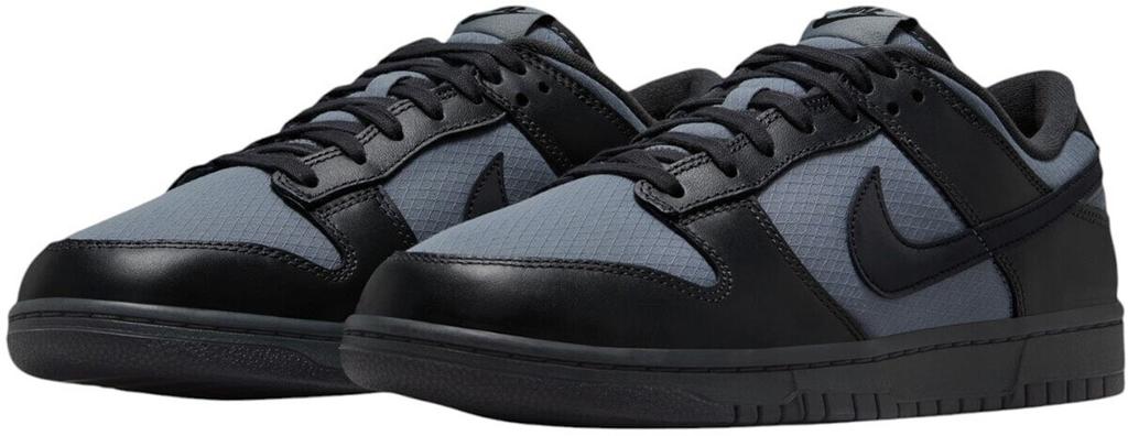 Nike Dunk Low Retro SE Sneakers (FZ3052-001) Off Noir/smoke Grey/anthracite/black