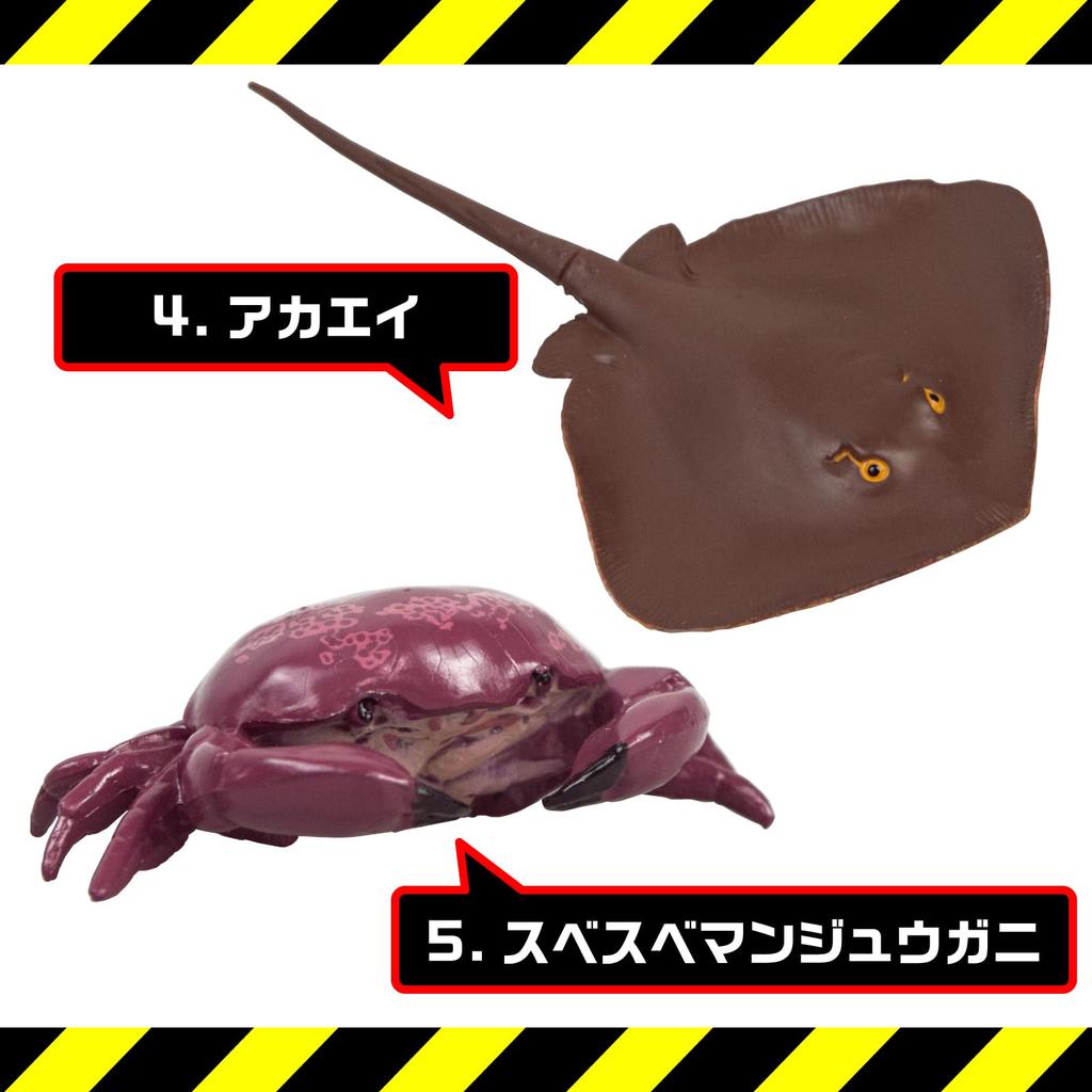 The Access Dangerous Sea 3D Illustrated Aquarium Toys Figures Creatures, Guide, Animals,