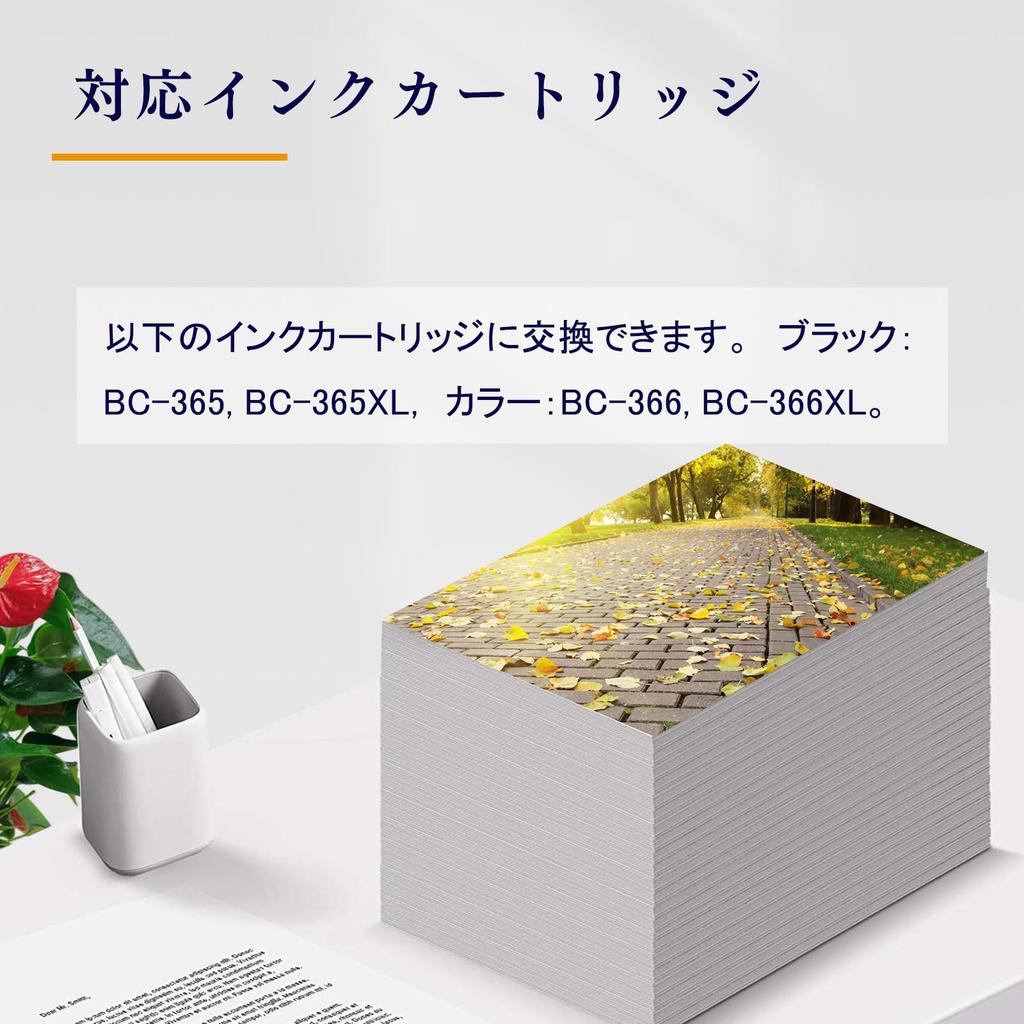 Cartuchos de Tinta Compatíveis LAIPENG para Canon x Total de Compatível com PIXUS TS3530 Inclui Substituição Canon 365XL Preto Pigmentado e 366XL Corante