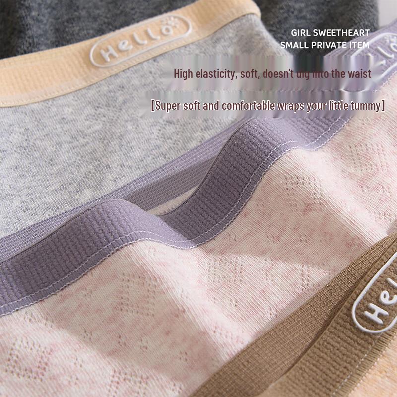 Women's Plus Size Soft Cotton Seamless Briefs