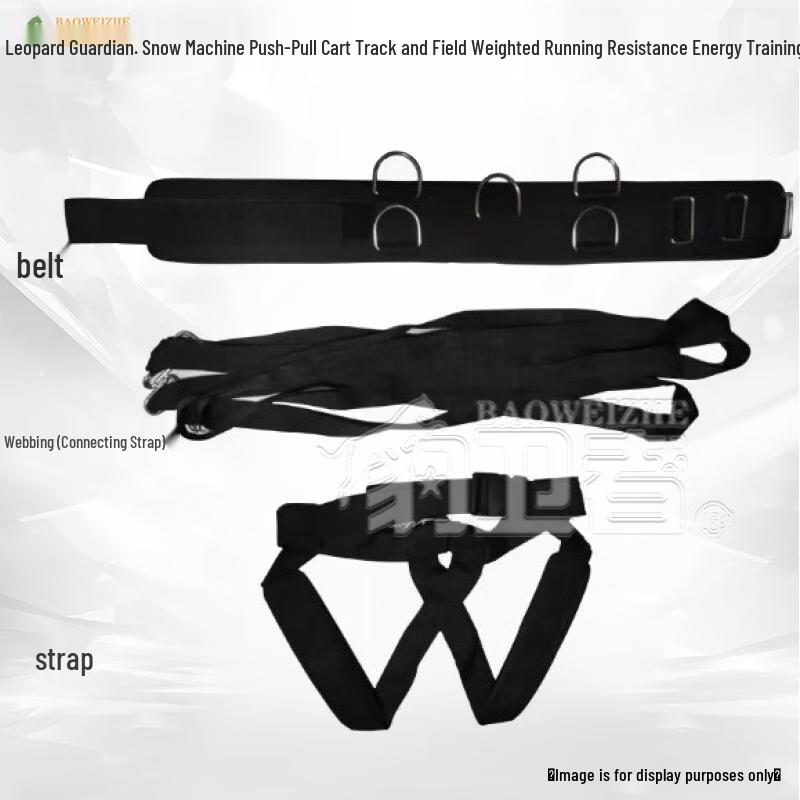 Leopard Guardian Resistance Training Sled System