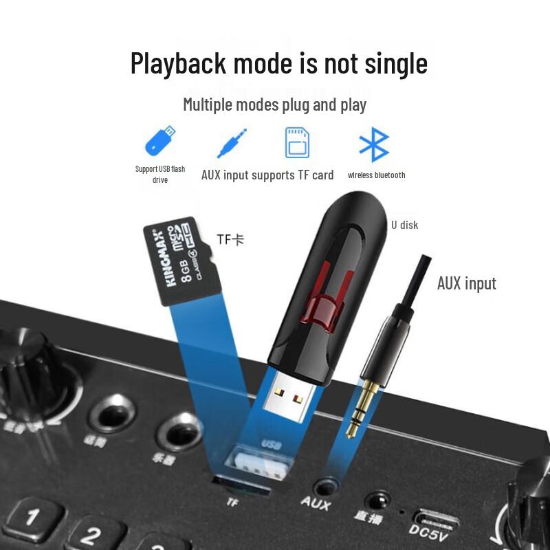 BD-H2125 Portable Bluetooth KTV Speaker with Microphones