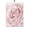 Nordic Wall Art Canvas Painting Posters Pink Flowers Rose Peony Minimalism Quotes Print Wall Pictures For Living Room Home Decor