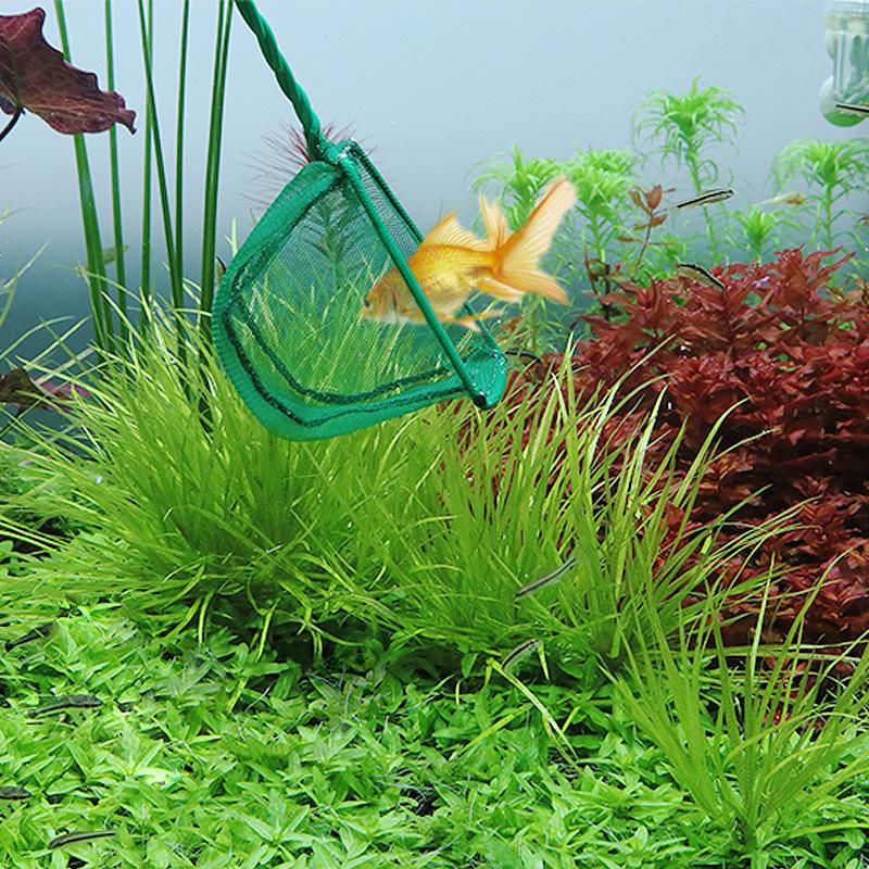 Large Extended Fish Tank Scoop Net for Goldfish