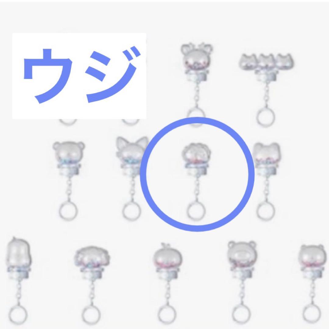 

[Б/У] SEVENTEEN Мини Тин Лайтстик Части Брелок Уджи