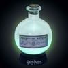 Harry Potter Magic Lamp Polyjuice Potion Color-changing Lamp