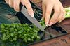 PLACA PROTECTORA DE CRISTAL PARA COCINA 50x52 HOJAS