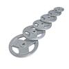 Commercial Cast Iron Barbell Weight Plate
