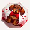 Dachshund, Valentine Theme 8 Bone Hand Automatic Folding Fashion umbrella, Compact and Portable Design, A Perfect Gift for Birthday, Christm