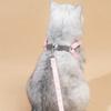 Breathable Pet Harness for Small Medium Dog Cat Harness Leash Set Reflective Puppy  Walking Leash Lead Chihuahua French Bulldog