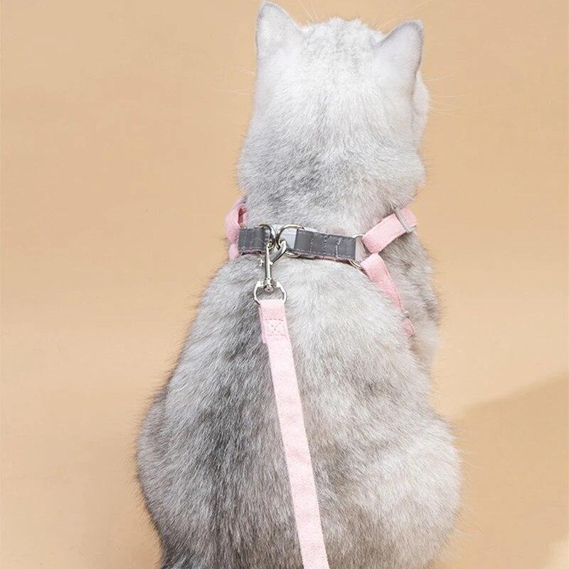 Breathable Pet Harness for Small Medium Dog Cat Harness Leash Set Reflective Puppy  Walking Leash Lead Chihuahua French Bulldog