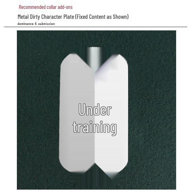 Colar com Pinças Eroticas Ponderadas para Treinamento de Escravo Masculino