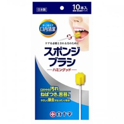 10 Hamming Reinigungsschwammbürsten