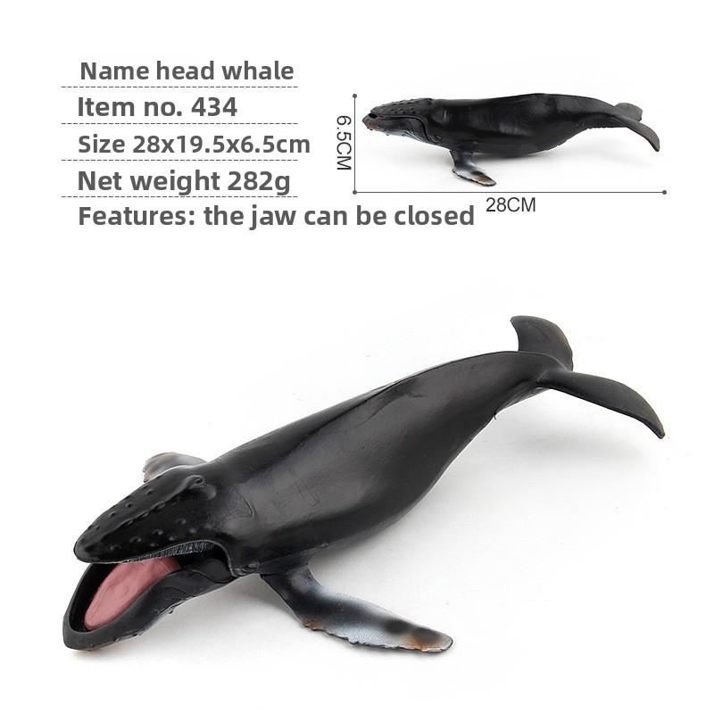 Realistic Blue Whale Pvc Marine Animal Figures For Educational Toys And Display