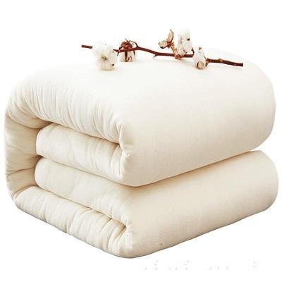 Oeny Cotton Quilt Insert