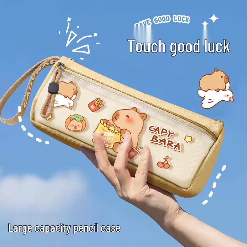 Cute Capybara Transparent Triangle Pencil Case