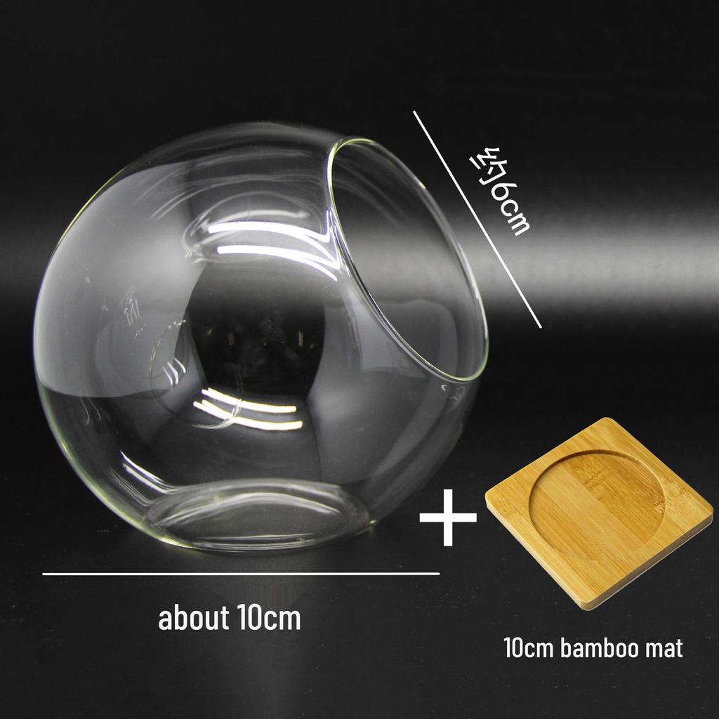 Round Oblique-Mouth Glass Vase for Succulents and Micro Landscapes