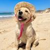 Round Brim Pet Sun Hat Floral Pattern Adorable Pet Hat Dog Sunscreen Hat  Small Medium Pets