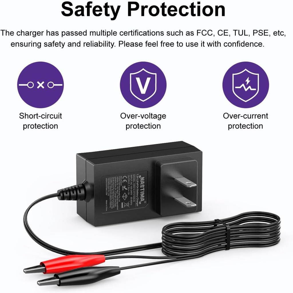 NASTIMA 6V LiFePO4 Battery Charger, 7.3V 1A Smart Charger for 6V Lithium Iron Phosphate Battery with Red and Black Clips and LED Indicator Light