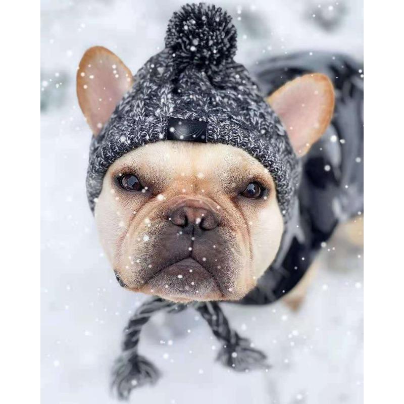 Pet Cat Hats, Big Dog Cats, Dog Pet Supplies, Autumn and Winter Dog Wool