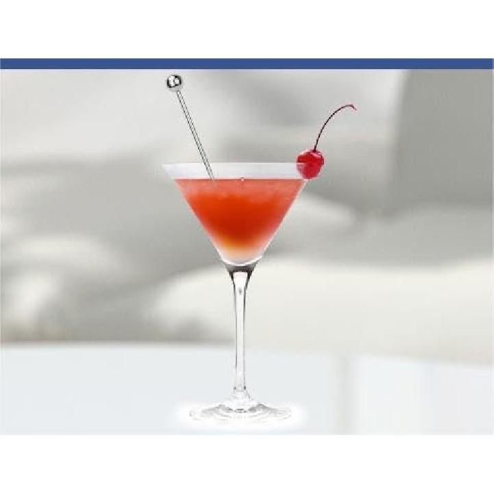 16PCS Cocktail Picks, Reble Metal Toothpick,8 Inch Stainless Steel Cocktail Toothpick, Martini Skewer, Bloody Mary Skewer for Olive Appetizer Fruit