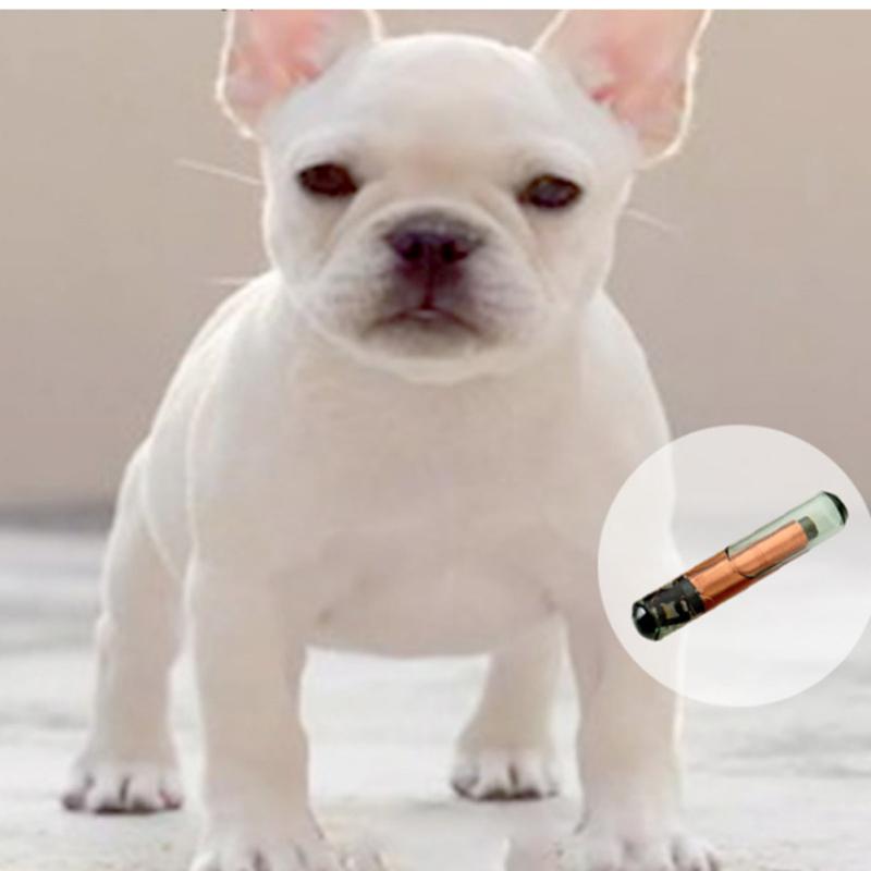 1.25 X 7mm Implanted Microchip Transponder Lightweight Animal Chip Syringe For Cat Dog Hamster