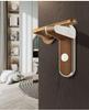 Zhao Zhiqian Anti-Theft Child-Proof Door Handle Lock
