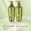 Schwarzkopf Ginger Essence Oil Control Shampoo