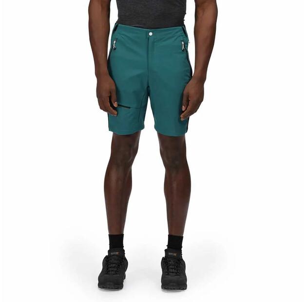 Regatta Highton Pro Shorts