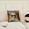 cat Funny cushion cover Pillow Cover Decoration Room Home Sofa living Office Car Nordic Simplicity